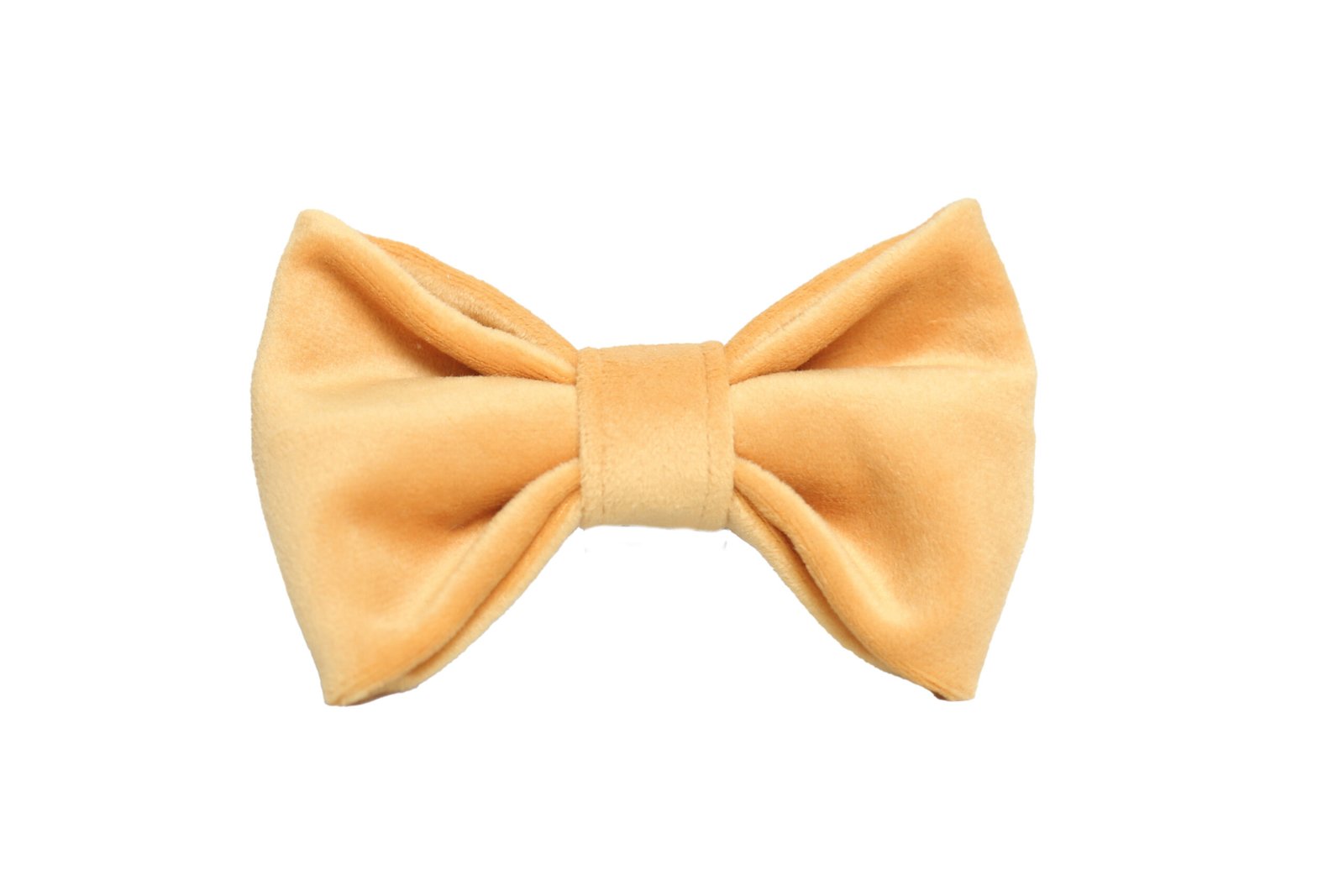 The Golden Honey Velvet Bow - Image 2