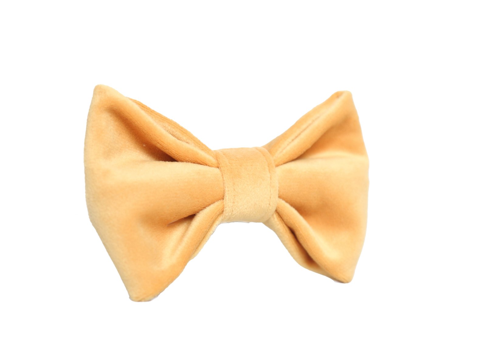 The Golden Honey Velvet Bow - Image 3