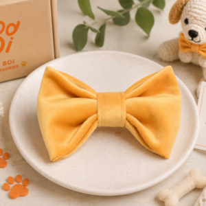 The Golden Honey Velvet Bow